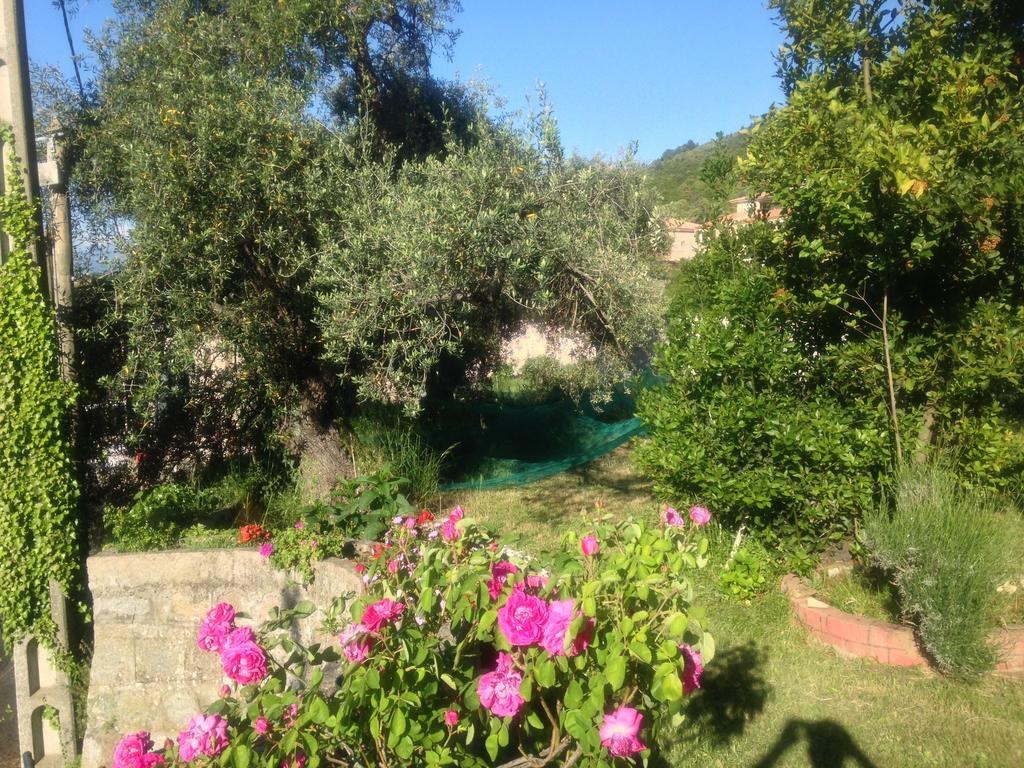 Hotel Les Calanques ピアナ 部屋 写真